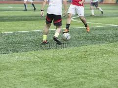 京津之战前,林良铭有望,日归队,QY球友会,QiuYou,Sports,QY球友会体育官网,QY球友会官网,QY球友会体育下载