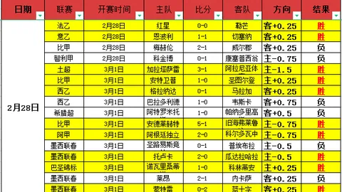巴西热销 线偶Marionette风格主题棺材